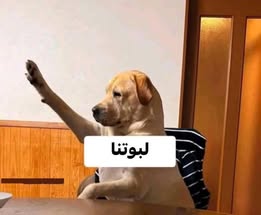 صورة إضافية للعقار