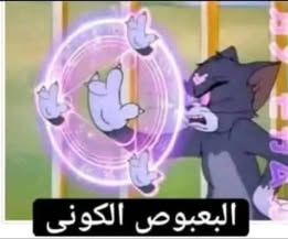 صورة إضافية للعقار