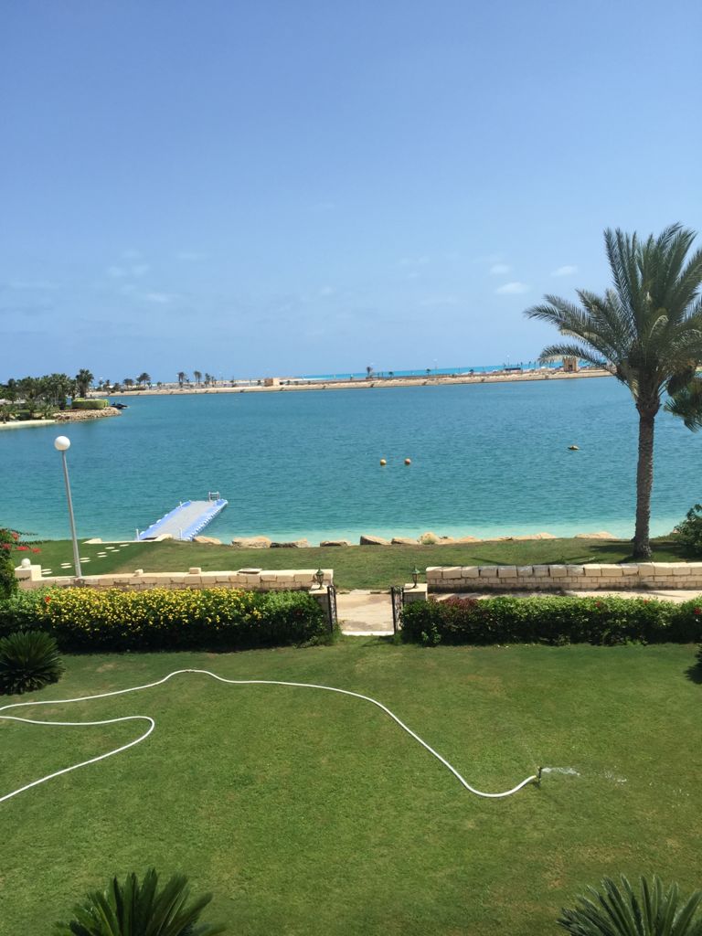 صورة إضافية للعقار