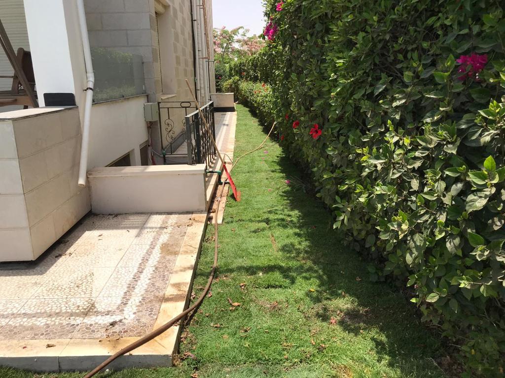 صورة إضافية للعقار