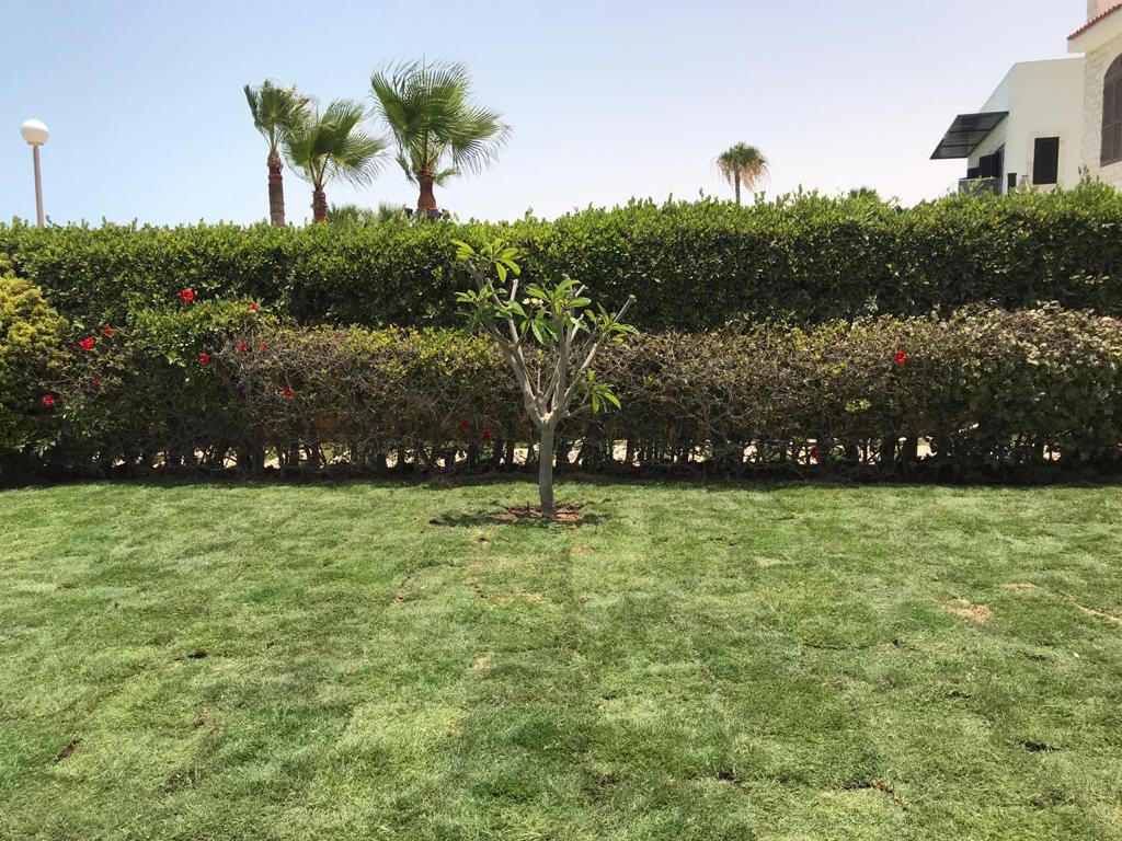 صورة إضافية للعقار