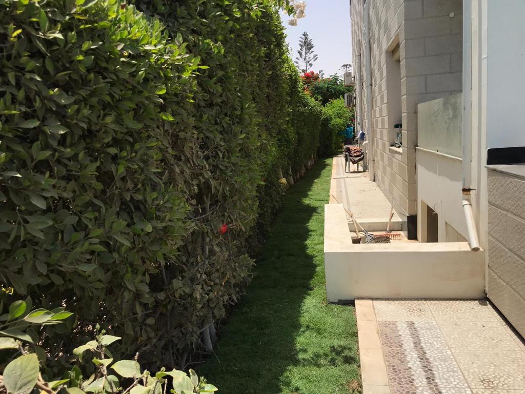 صورة إضافية للعقار