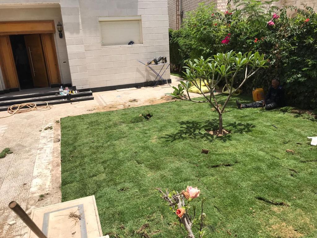 صورة إضافية للعقار