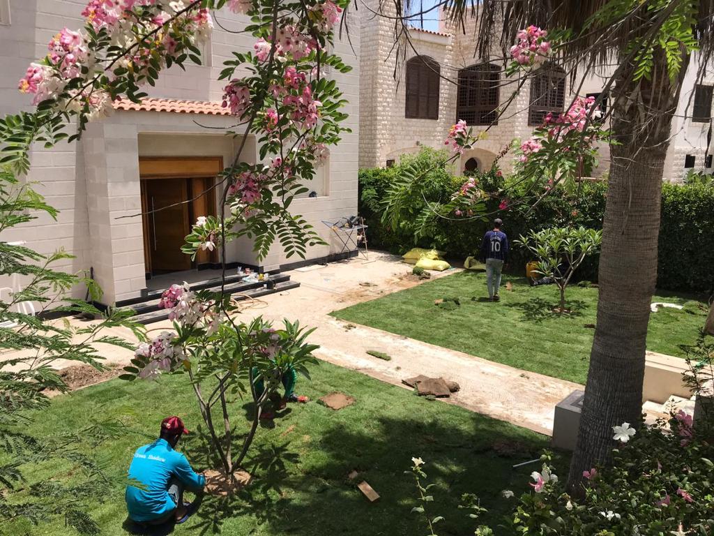 صورة إضافية للعقار