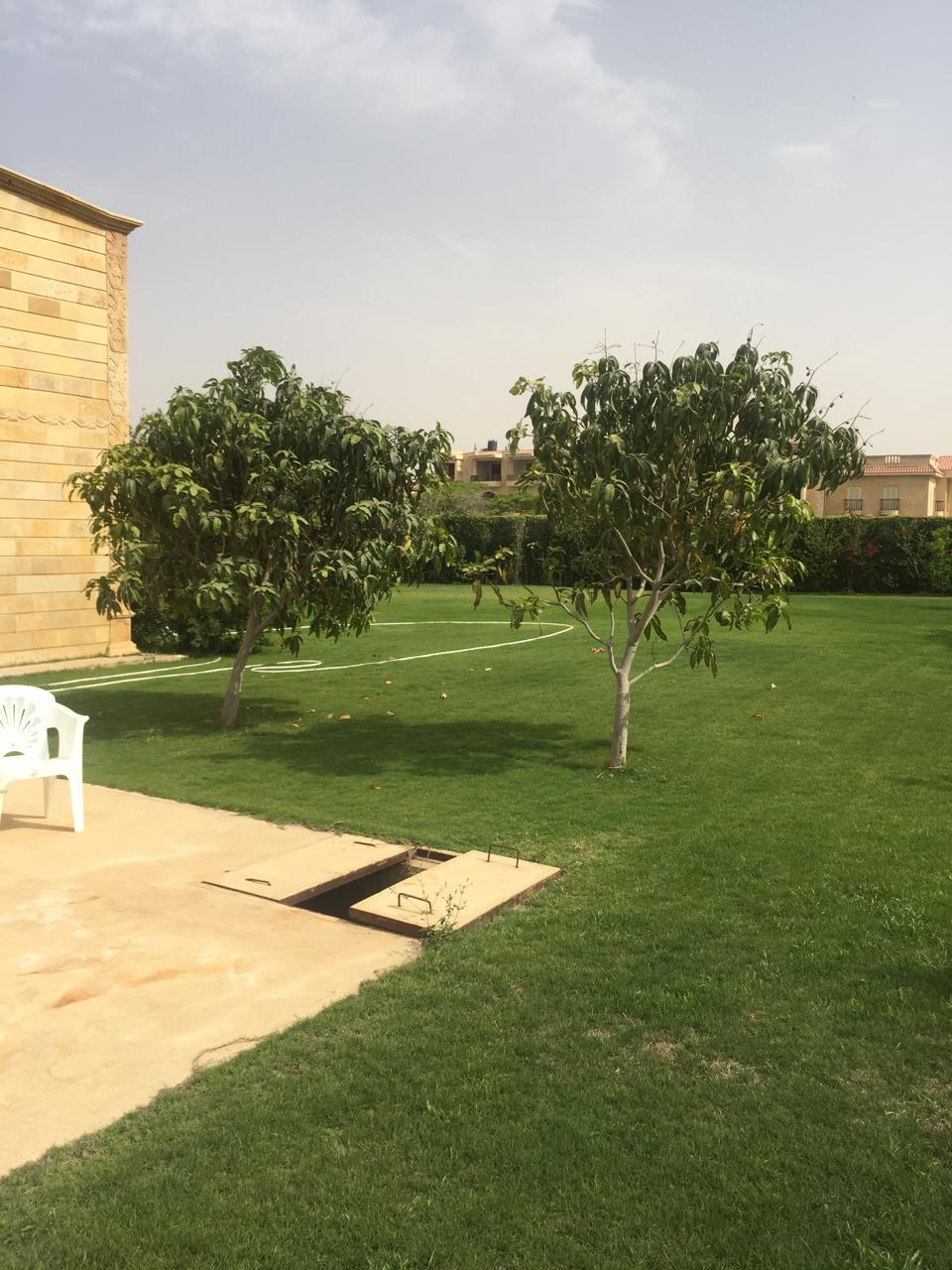 صورة إضافية للعقار
