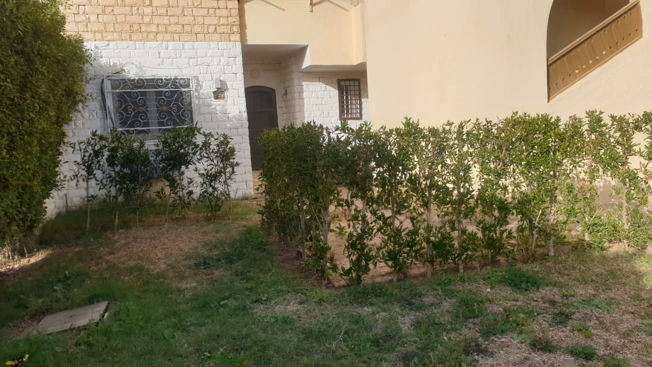 صورة إضافية للعقار
