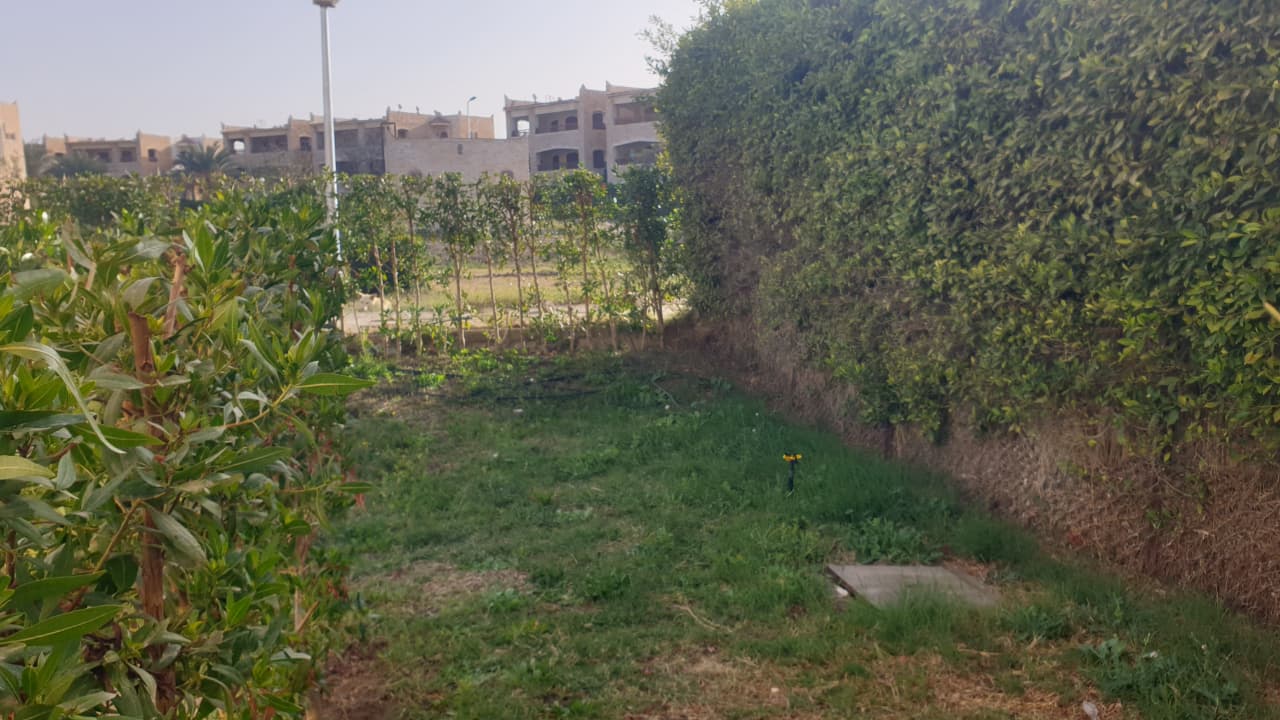 صورة إضافية للعقار
